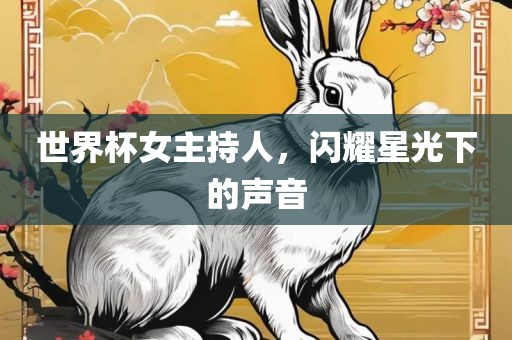 世界杯女主持人，闪耀星光下的声音