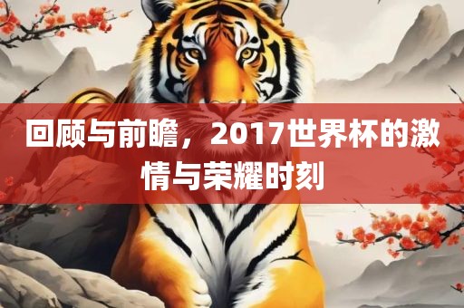 回顾与前瞻，2017世界杯的激情与荣耀时刻