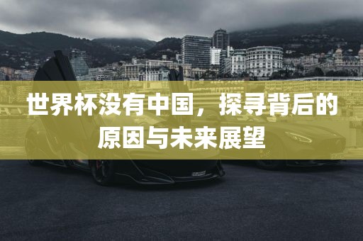 世界杯没有中国，探寻背后的原因与未来展望