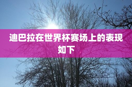 迪巴拉在世界杯赛场上的表现如下