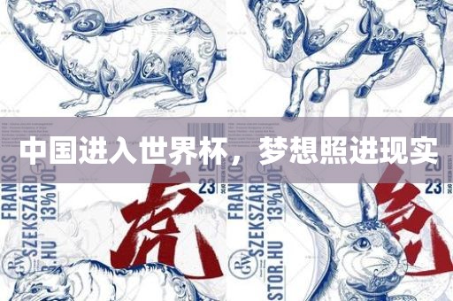 中国进入世界杯，梦想照进现实