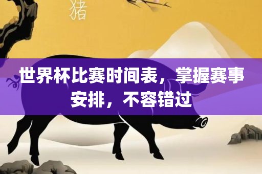 世界杯比赛时间表，掌握赛事安排，不容错过