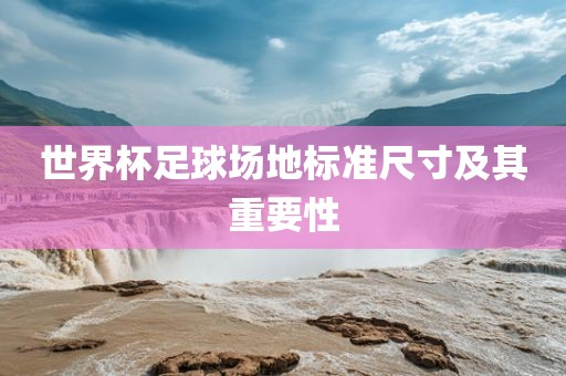 世界杯足球场地标准尺寸及其重要性