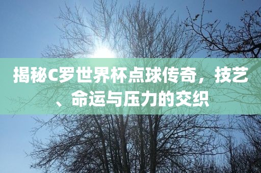揭秘C罗世界杯点球传奇，技艺、命运与压力的交织