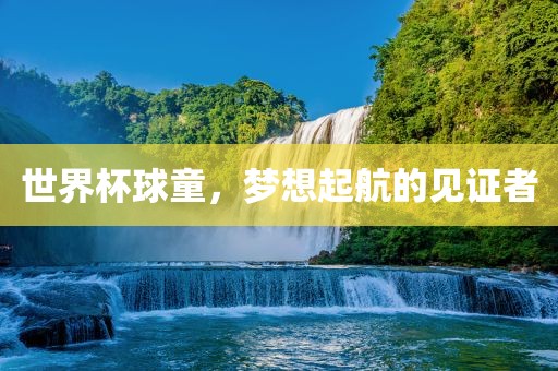 世界杯球童，梦想起航的见证者