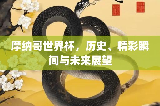 摩纳哥世界杯，历史、精彩瞬间与未来展望眉山市正发家政服务有限公司