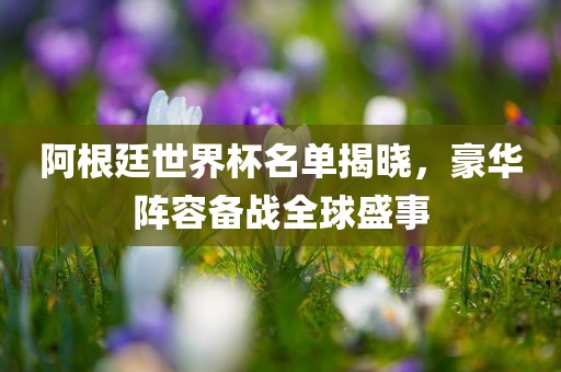阿根廷世界杯名单揭晓，豪华阵容备战全球盛事