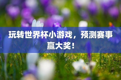 玩转世界杯小游戏，预测赛事赢大奖！