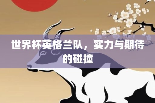 世界杯英格兰队，实力与期待的碰撞