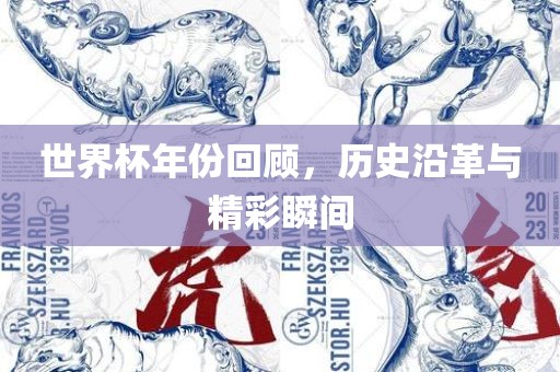 世界杯年份回顾，历史沿革与精彩瞬间