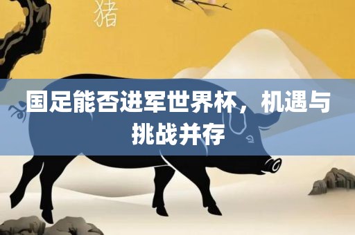 国足能否进军世界杯，机遇与挑战并存
