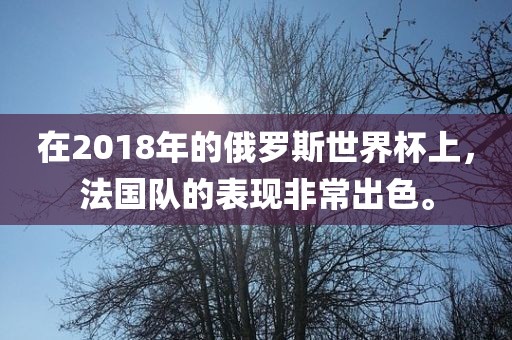在2018年的俄罗斯世界杯上，法国队的表现非常出色。