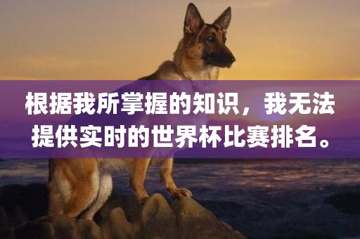 根据我所掌握的知识，我无法提供实时的世界杯比赛排名。
