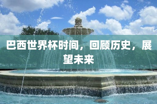 历史与未来展望 第6页