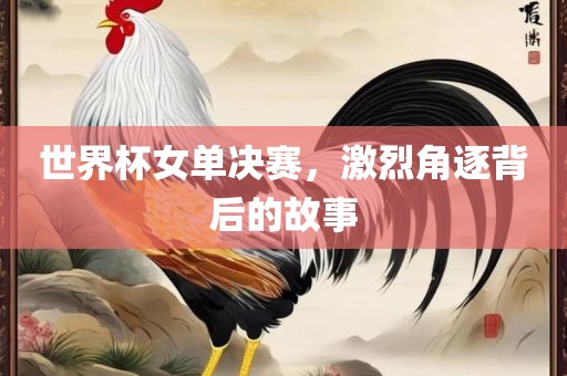 世界杯女单决赛，激烈角逐背后的故事