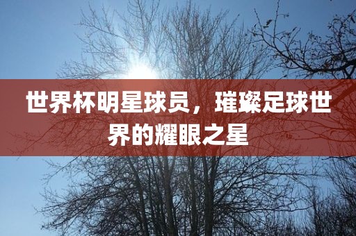 世界杯明星球员，璀璨足球世界的耀眼之星