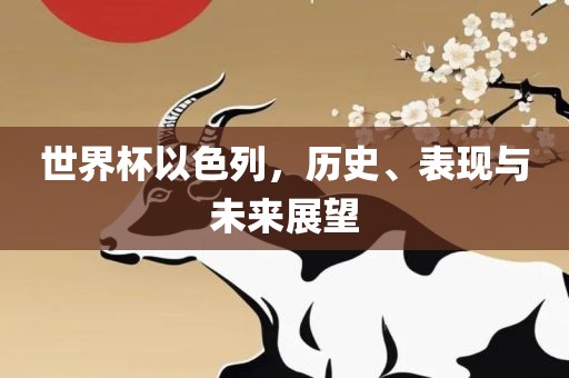世界杯以色列，历史、表现与未来展望眉山市正发家政服务有限公司
