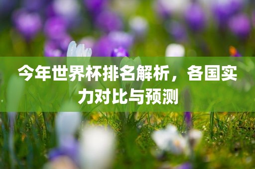 今年世界杯排名解析，各国实力对比与预测