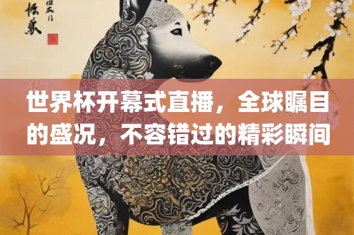 世界杯开幕式直播，全球瞩目的盛况，不容错过的精彩瞬间
