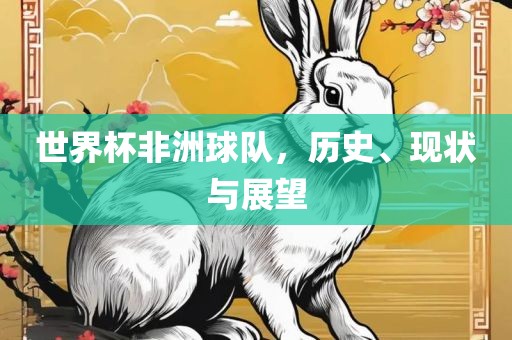 世界杯非洲球队，历史、现状与展望眉山市正发家政服务有限公司