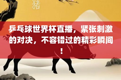乒乓球世界杯直播，紧张刺激的对决，不容错过的精彩瞬间！