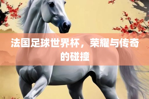 法国足球世界杯