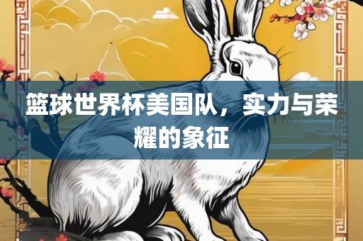 篮球世界杯美国队，实力与荣耀的象征
