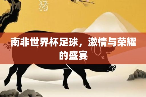 南非世界杯足球，激情与荣耀的盛宴