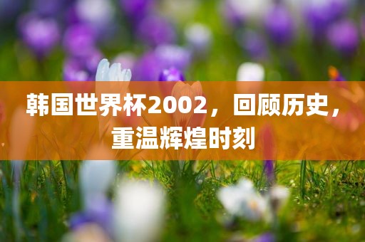 韩国世界杯2002，回顾历史，重温辉煌时刻