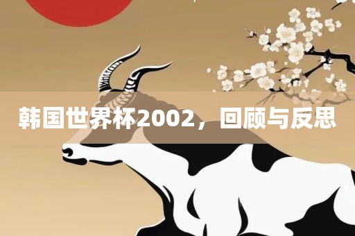 韩国世界杯2002，回顾与反思