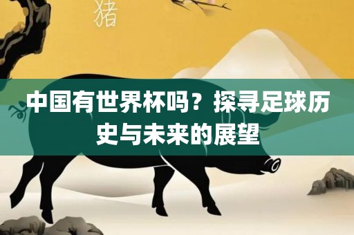 中国有世界杯吗？探寻足球历史与未来的展望