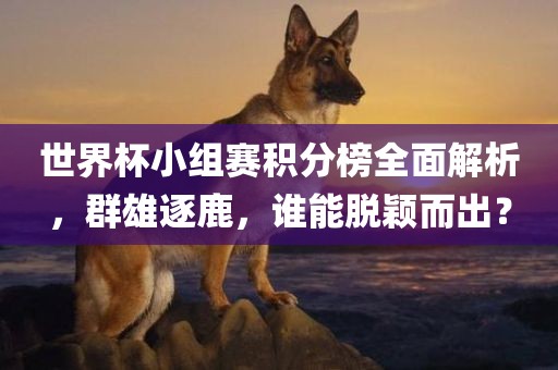 世界杯小组赛积分榜全面解析，群雄逐鹿，谁能脱颖而出？