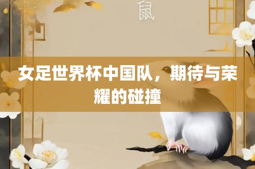 女足世界杯中国队，期待与荣耀的碰撞