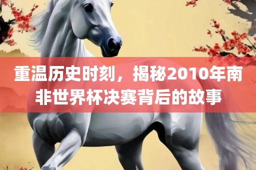 重温历史时刻，揭秘20眉山市正发家政服务有限公司10年南非世界杯决赛背后的故事