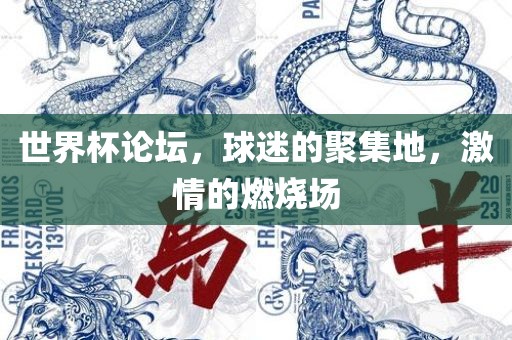 世界杯论坛，球迷的聚集地，激情的燃烧场