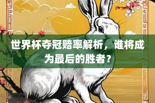 世界杯夺冠赔率解析，谁将成为最后的胜者？