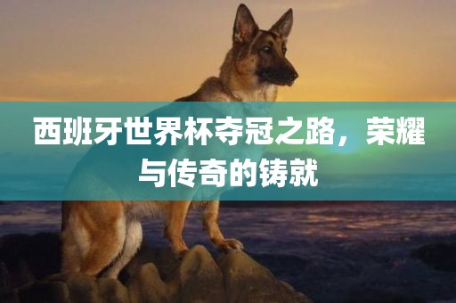 西班牙世界杯夺冠之路，荣耀与传奇的铸就