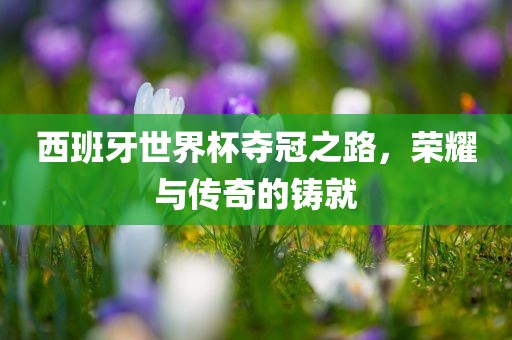 西班牙世界杯夺冠之路，荣耀与传奇的铸就