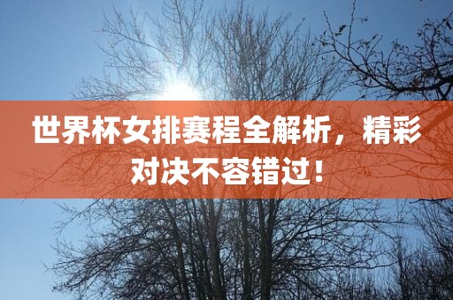 世界杯女排赛程全解析，精彩对决不容错过！眉山市正发家政服务有限公司