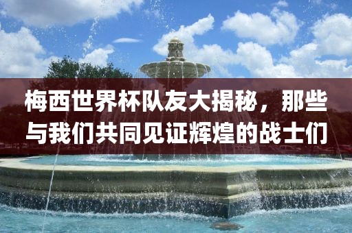 梅西世界杯队友大揭秘，那些与我们共同见证辉煌的战士们