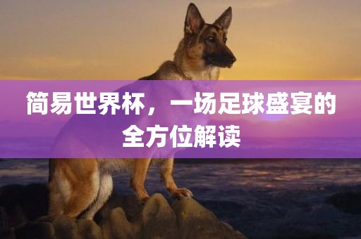 简易世界杯，一场足球盛宴的全方位解读