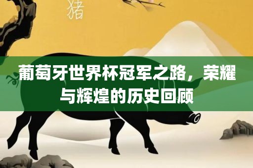 葡萄牙世界杯冠军之路，荣耀与辉煌的历史回顾