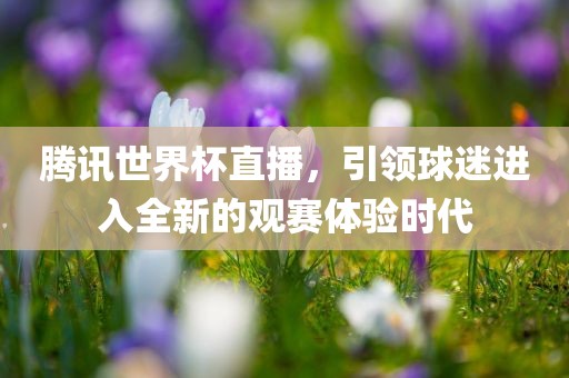 腾讯世界杯直播，引领球迷进入全新的观赛体验时代
