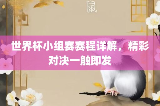 世界杯小组赛赛程详解，精彩对决一触即发