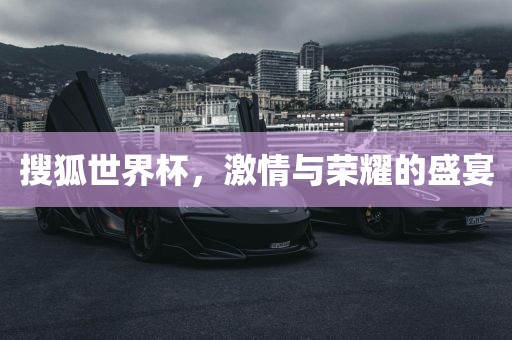 搜狐世界杯，激情与荣耀的盛宴