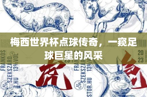 梅西世界杯点球传奇，一窥足球巨星的风采