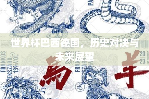 世界杯巴西德国，历史对决与未来展望眉山市正发家政服务有限公司