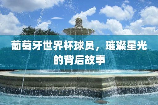 葡萄牙世界杯球员，璀璨星光的背后故事