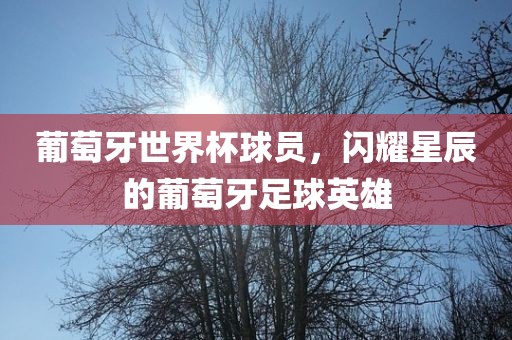 葡萄牙世界杯球员，闪耀星辰的葡萄牙足球英雄