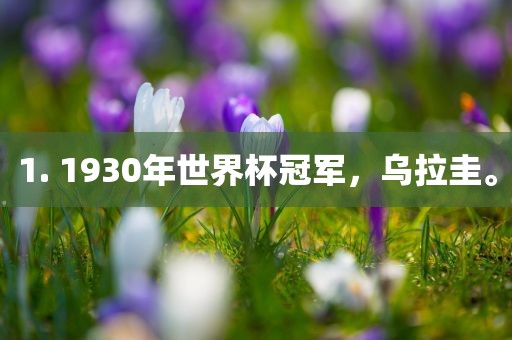 1. 1930年世界杯冠军，乌拉圭。